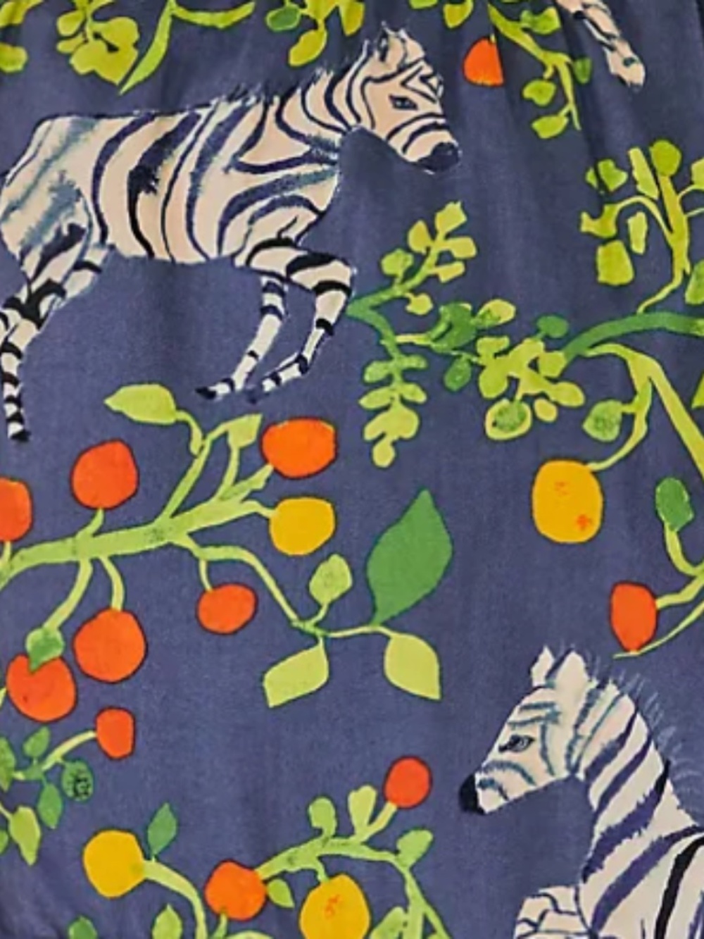 Olivia Wendel for Anthropologie Blue Zebra Print Pouch
